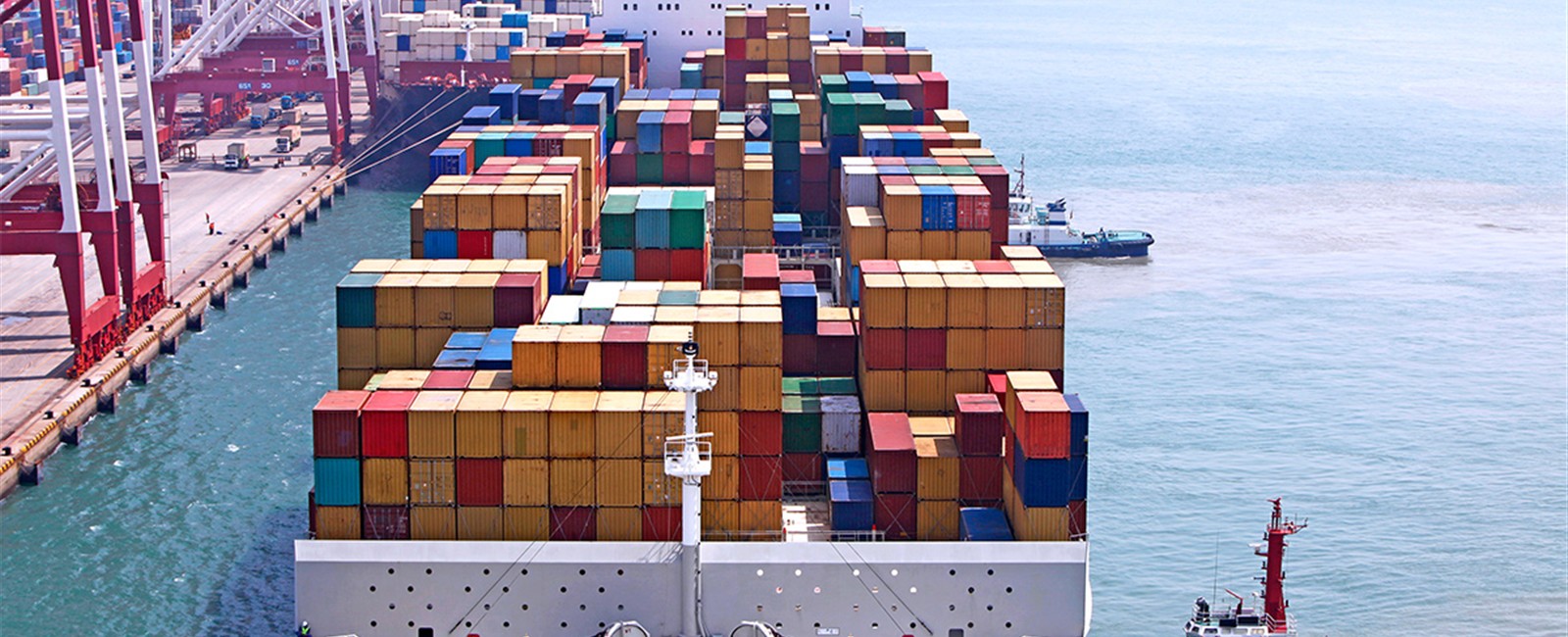 Global Import & Export Solutions